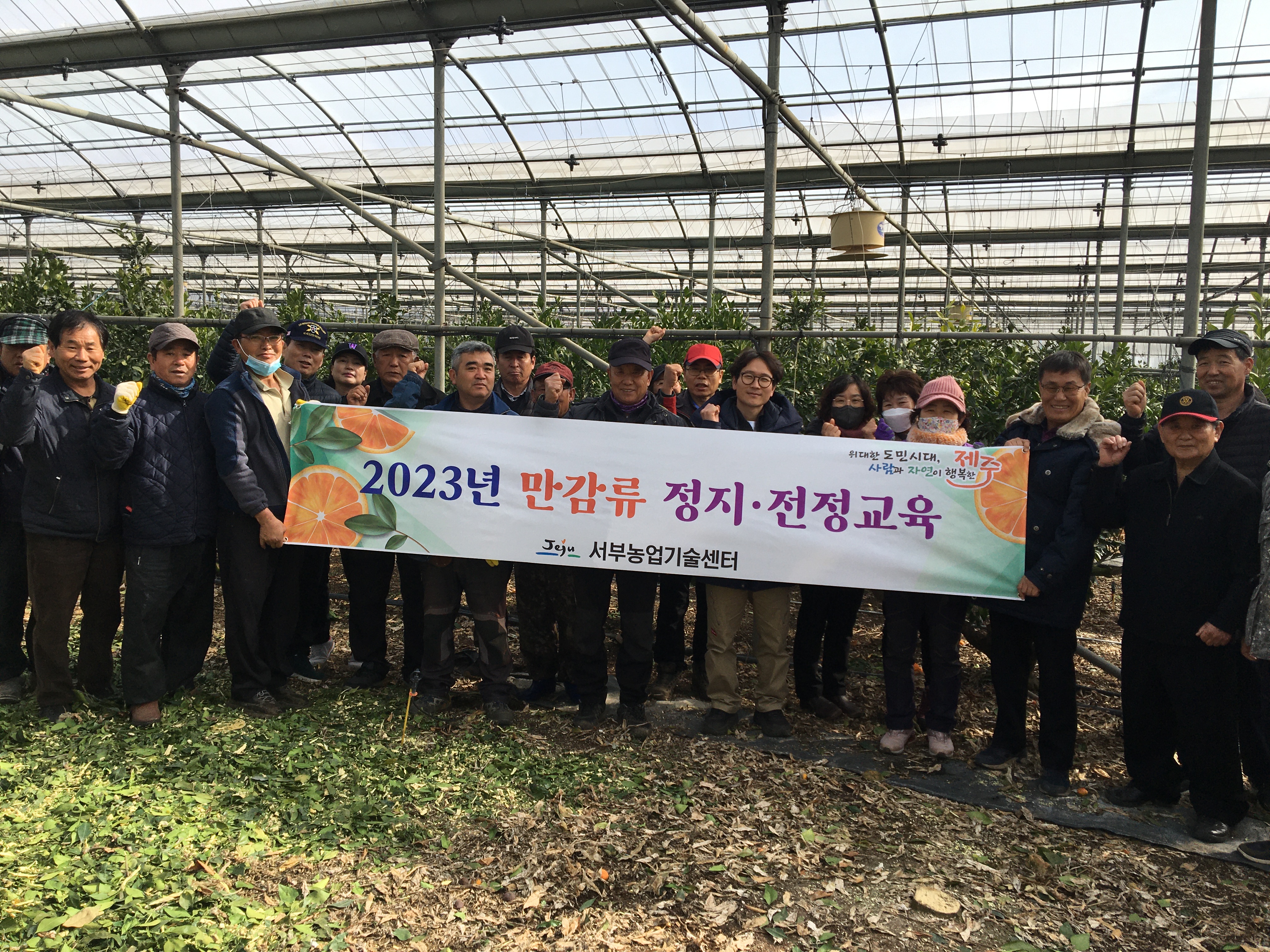 만감류 정지·전정교육