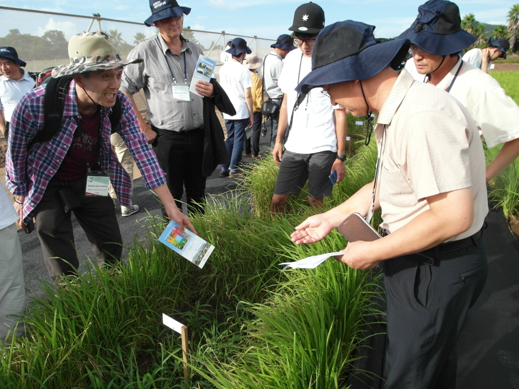 제6회 국제도열병 학회