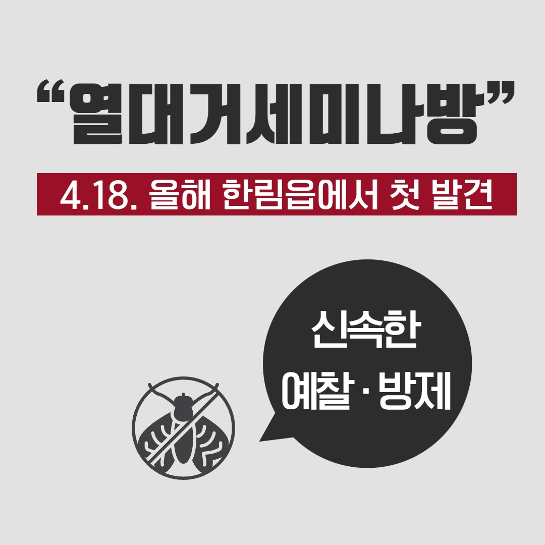 '열대거세미나방' 조기 발견과 신속한 방제가 필요합니다.