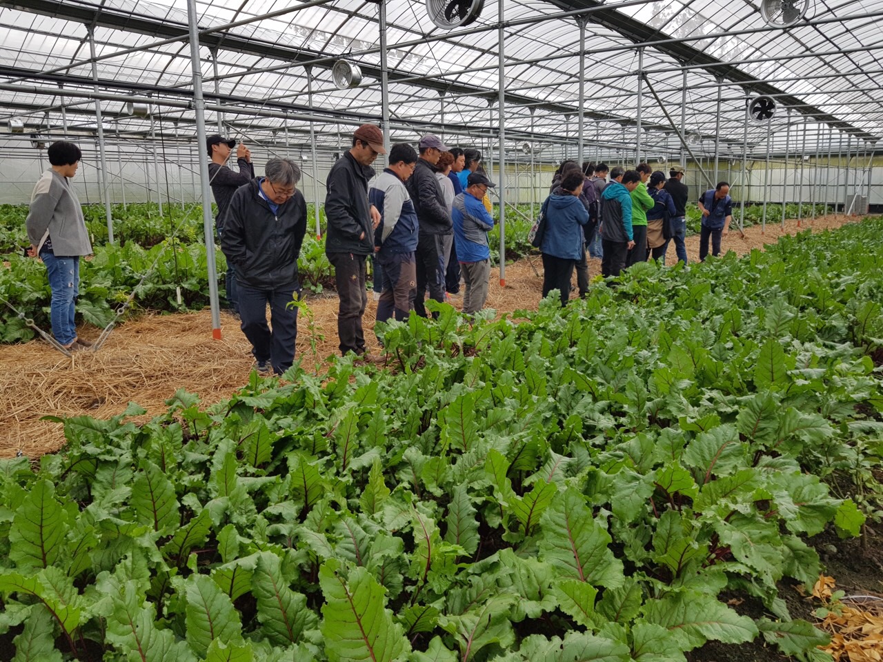 친환경농자재 제조실습교육(1회차)