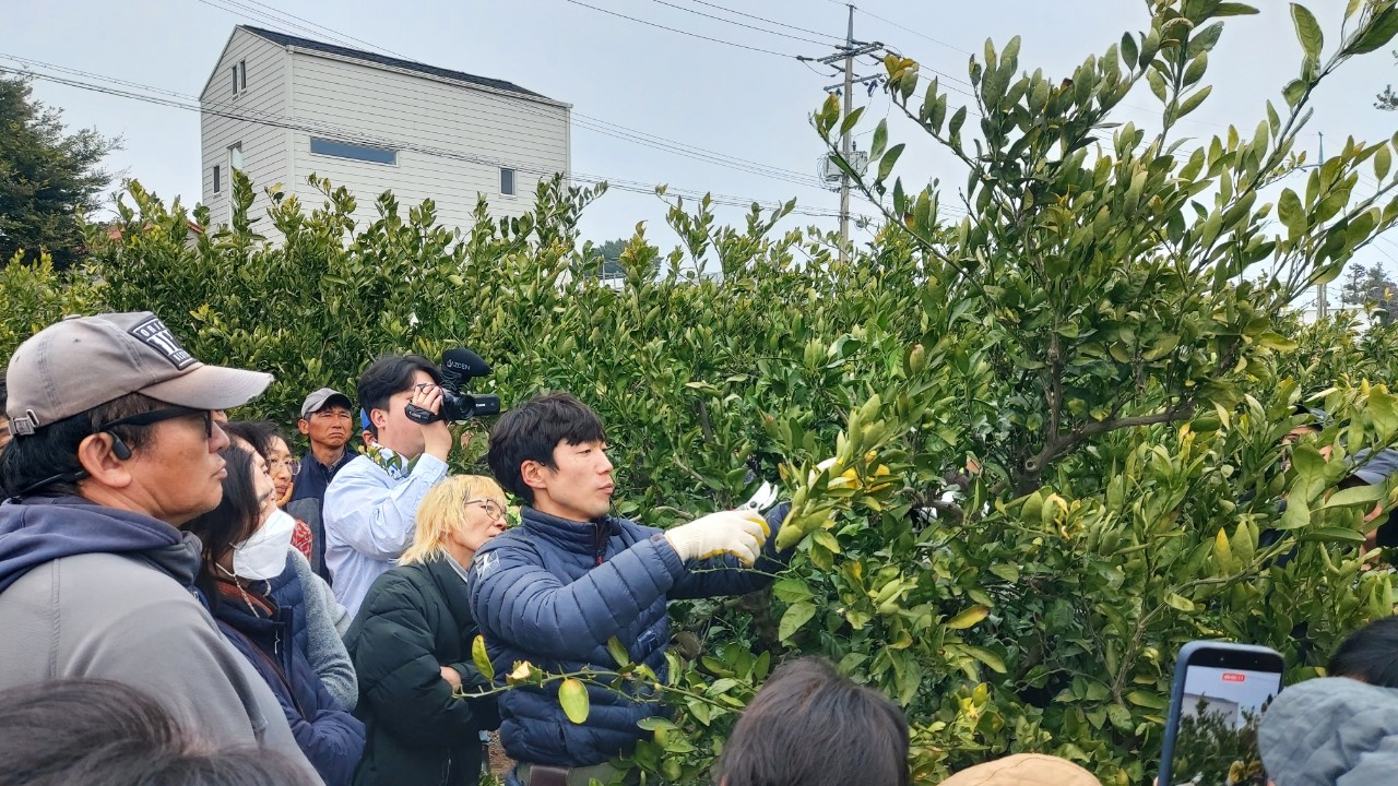 2026년 노지감귤 정지전정 교육(남원농협) 