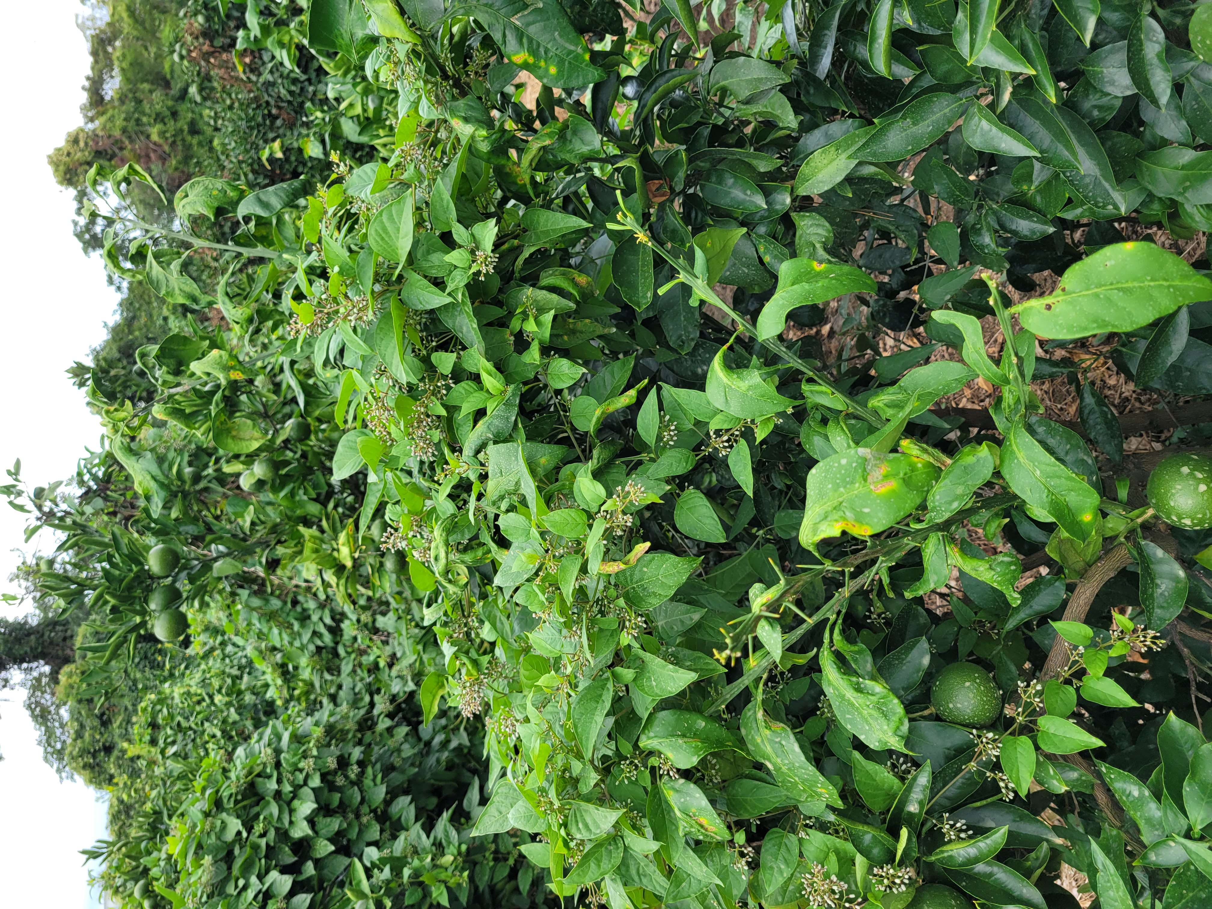 안녕하세요 문의드립니다