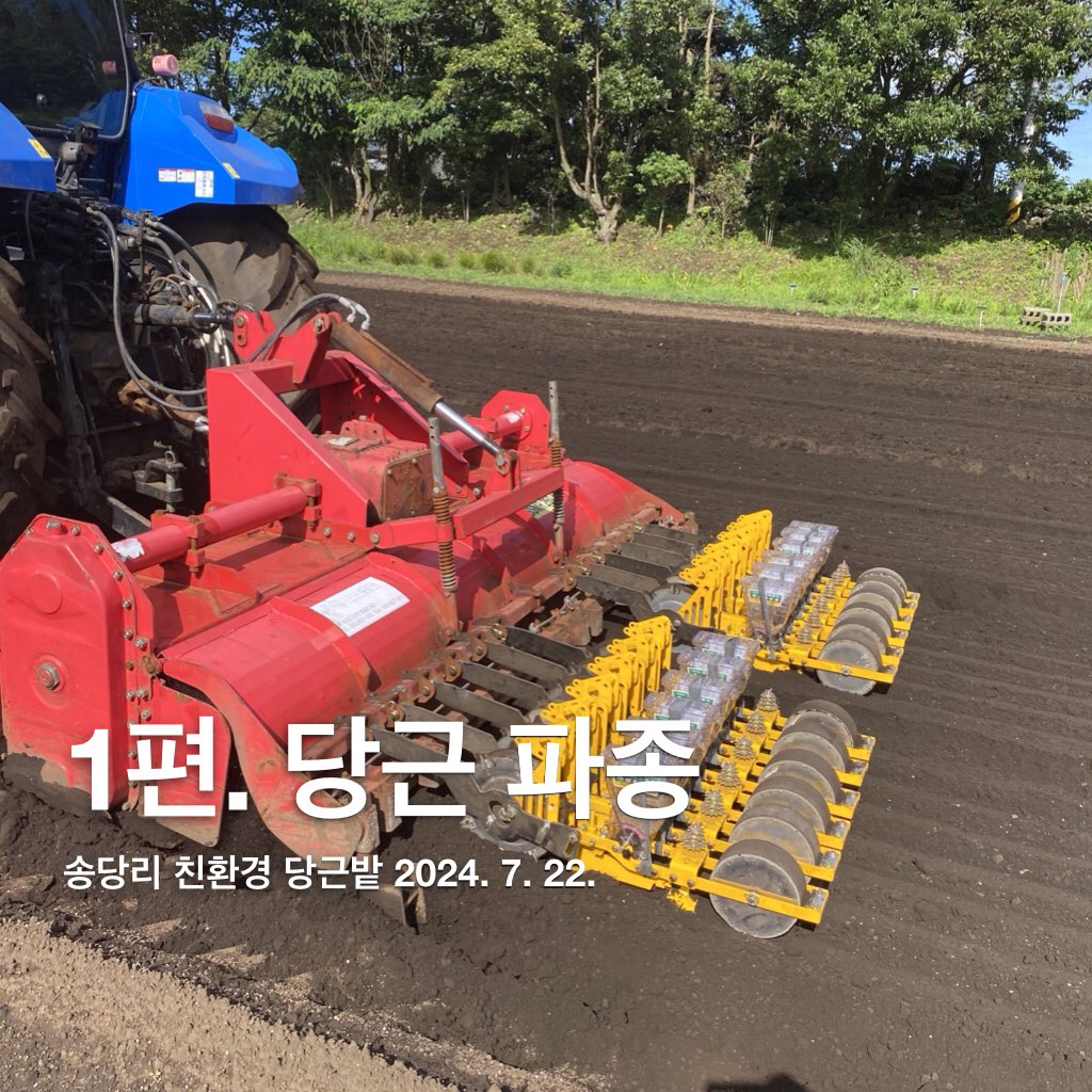 당근 파종부터 수확까지 현장에서 영상으로 배우기 _ 파종하기