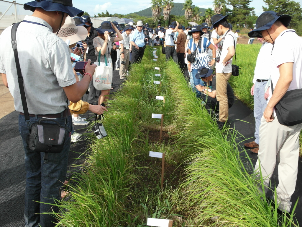 제6회 국제도열병 학회