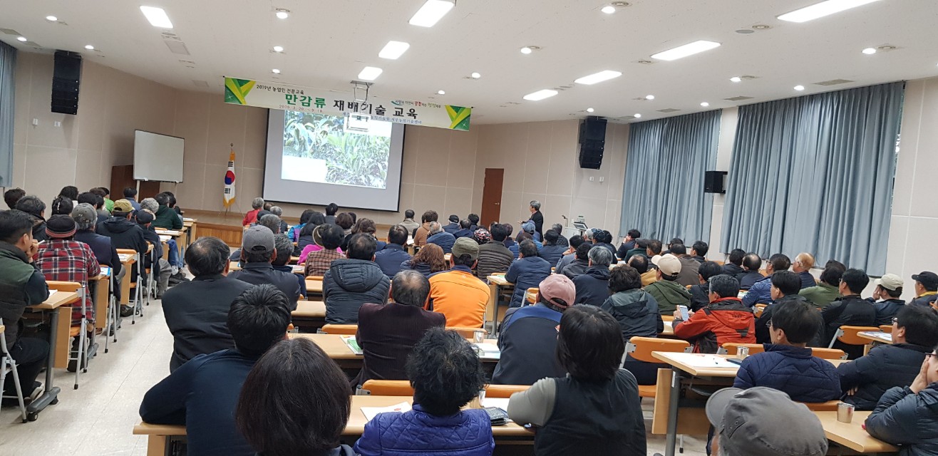 만감류 재배기술교육(1회차)