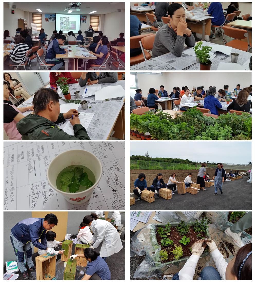 농촌다움자원을 활용한 「키친 가드너」3회차 교육현장