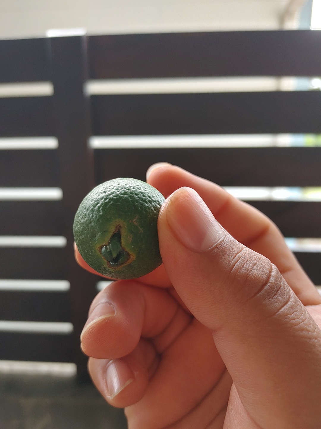 사진과 같은 현상이 일어나는 정확한 이유가 궁금합니다