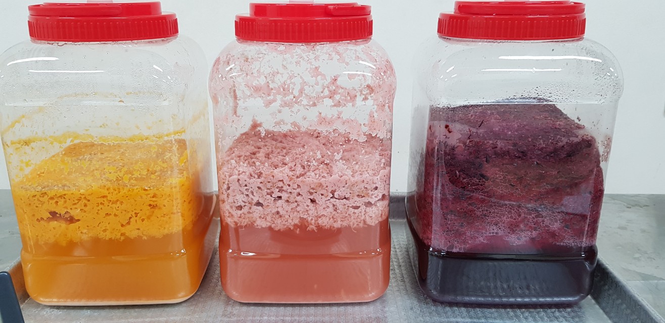 발효의 꽃 <천연발효식초 아카데미> 교육