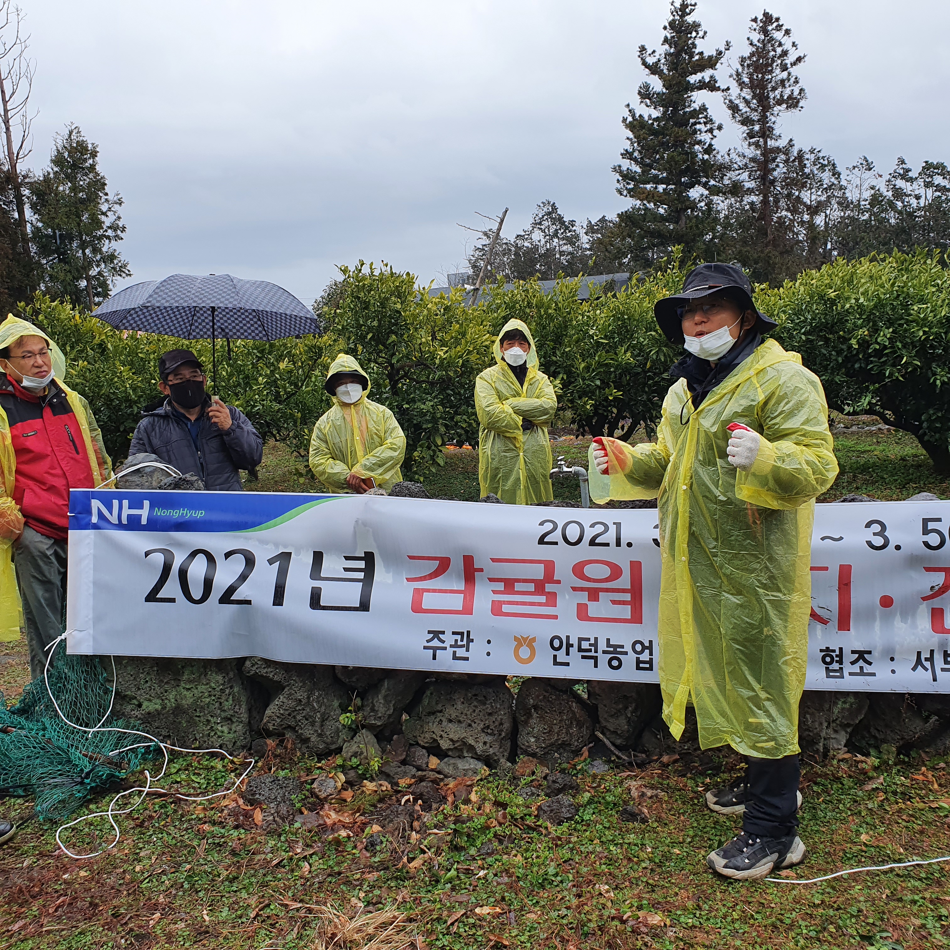 2021년 감귤 정지·전정 교육