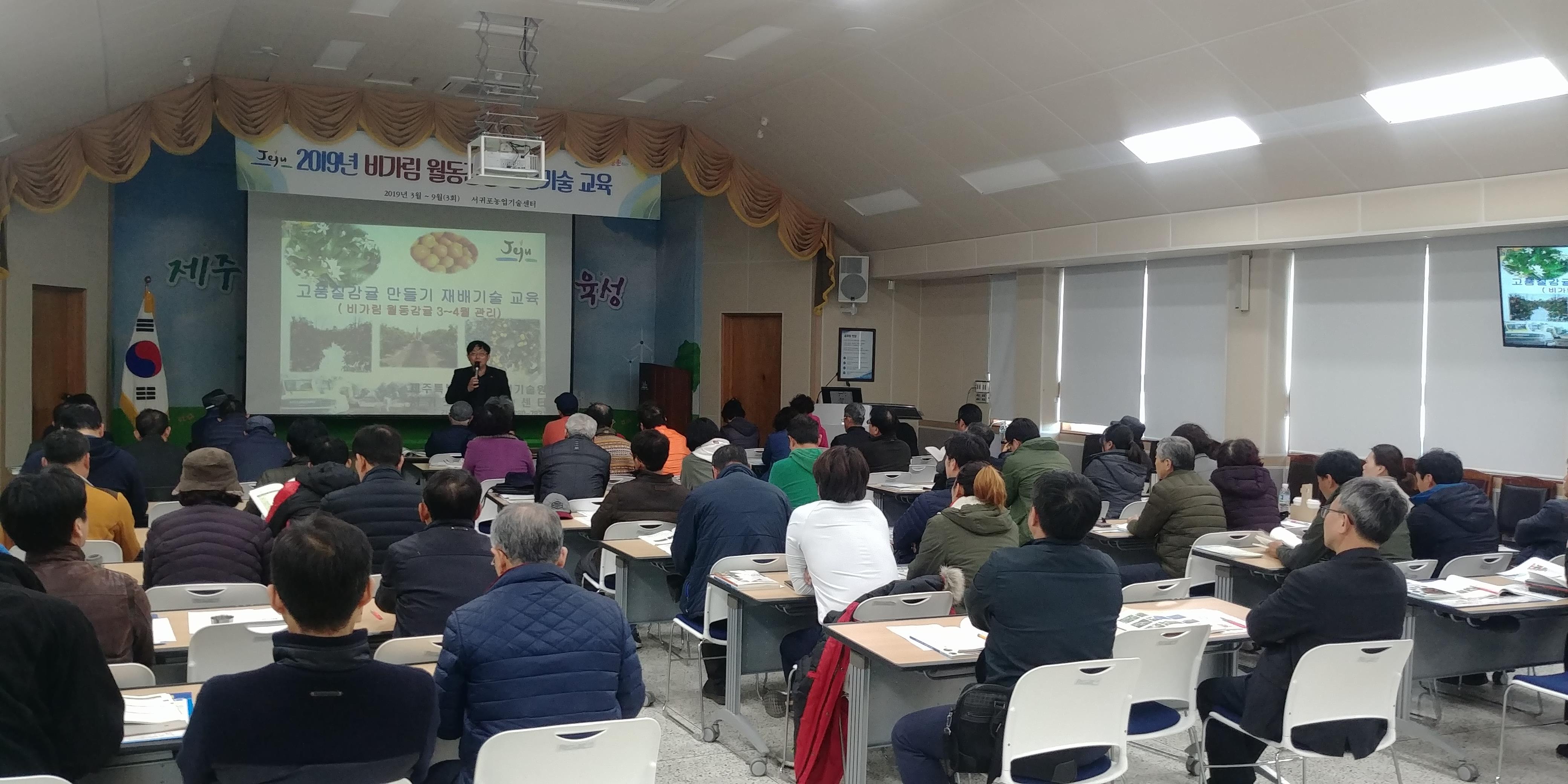 2019 비가림 월동감귤 재배기술 교육(1회차)