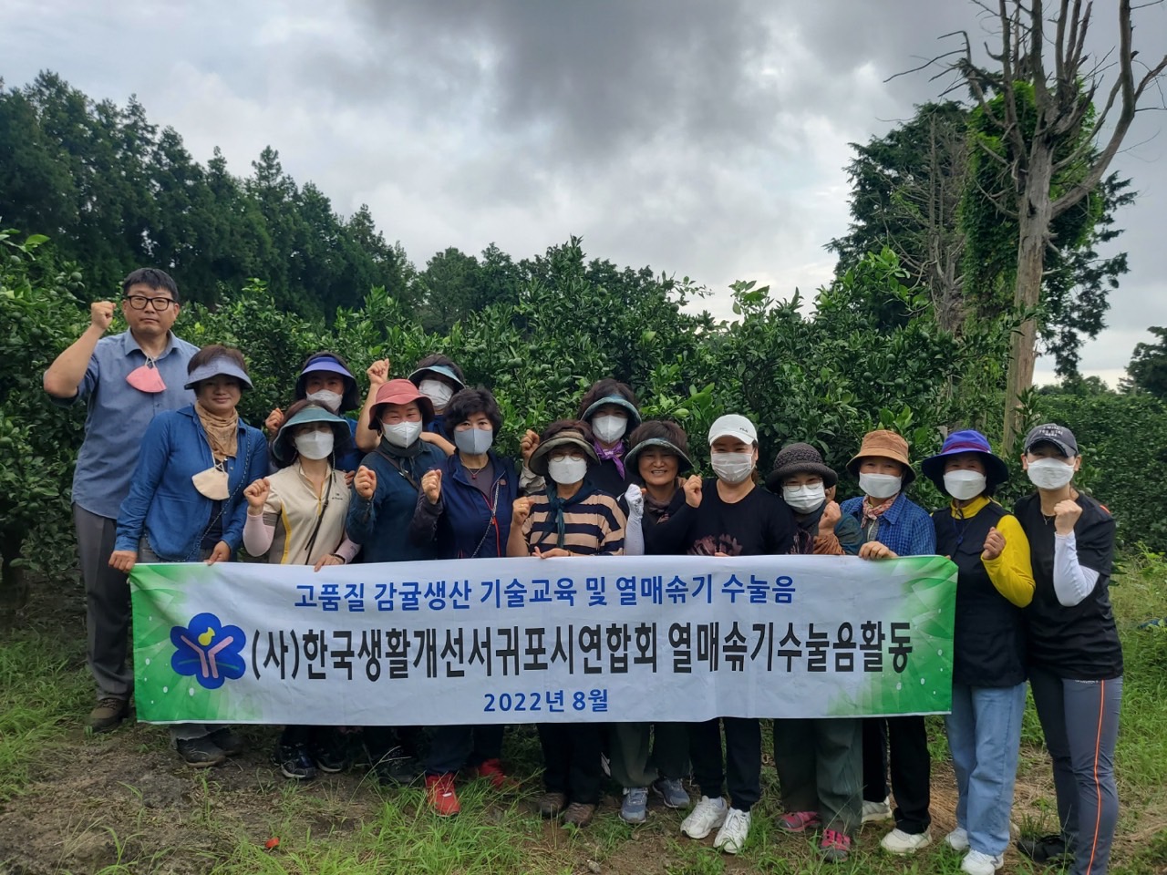   고품질감귤 안정생산을 위한 생활개선회원 열매솎기 수눌음 지도