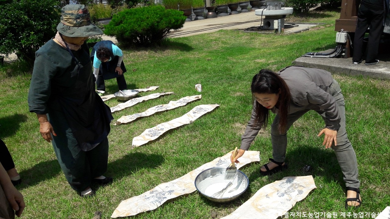천연염색 전문가 과정 교육