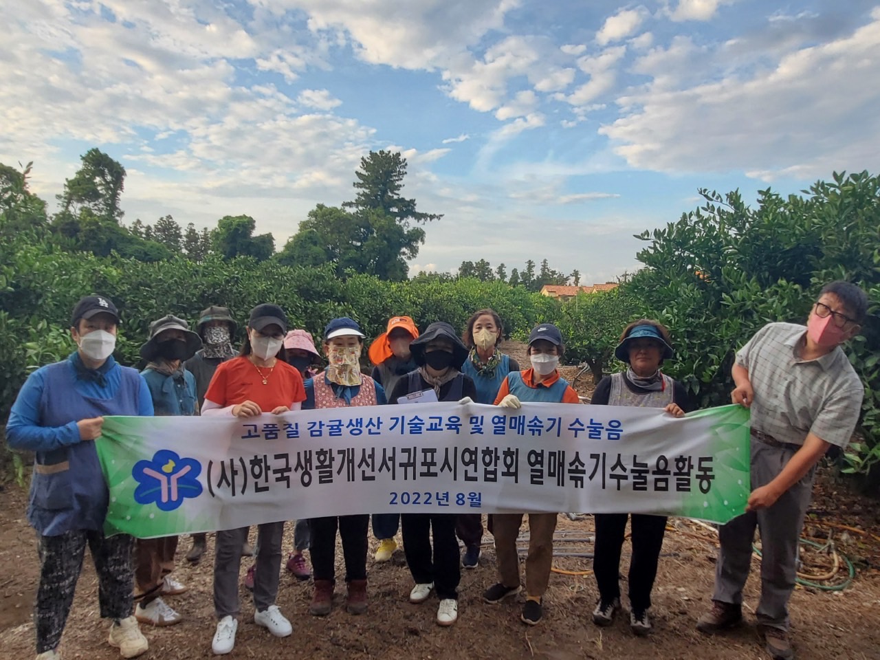 고품질감귤 안정생산을 위한 생활개선회원 열매솎기 수눌음 지도