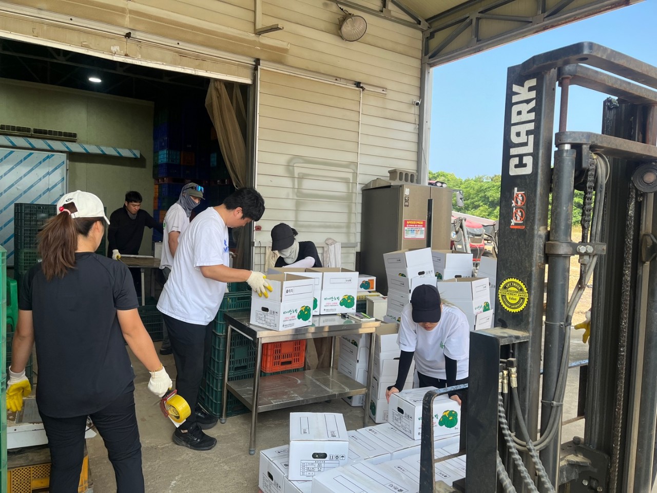 제주시 4-H연합회 미니단호박 기부행사