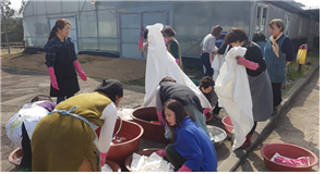 2019 실생활활용 천연염색교육