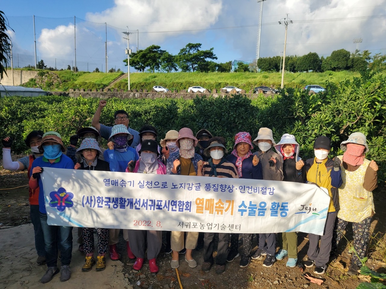   고품질감귤 안정생산을 위한 생활개선회원 열매솎기 수눌음 지도