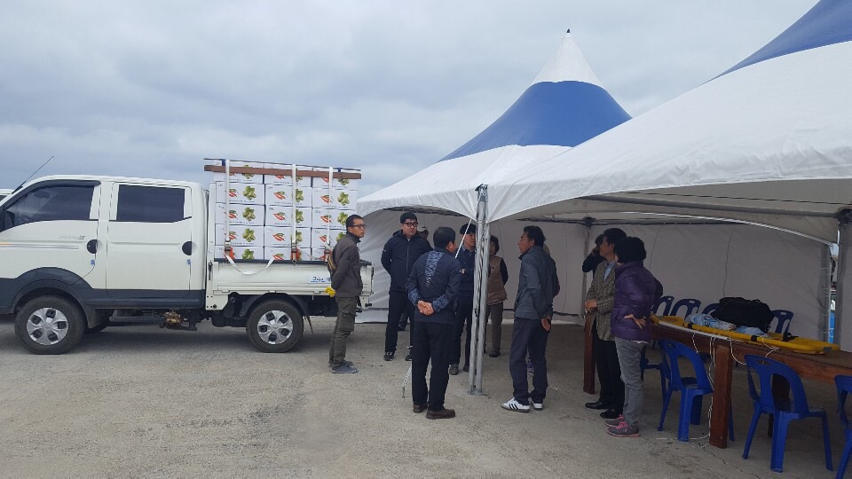 고추 묘종 지원(가파도)