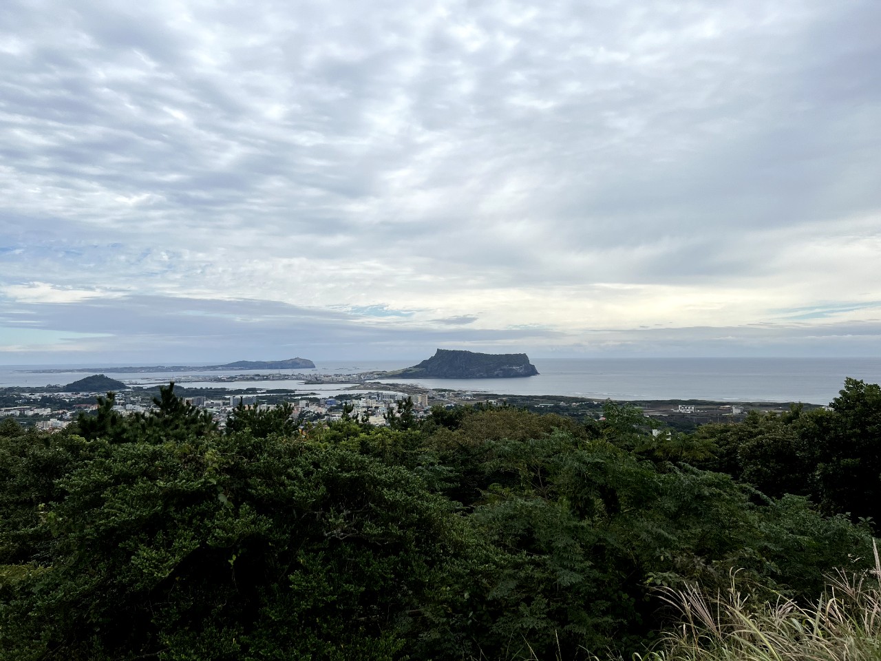 농촌융복합 치유농장 활성화를 위한 치유프로그램 시범 운영 (일출봉 아로니아)