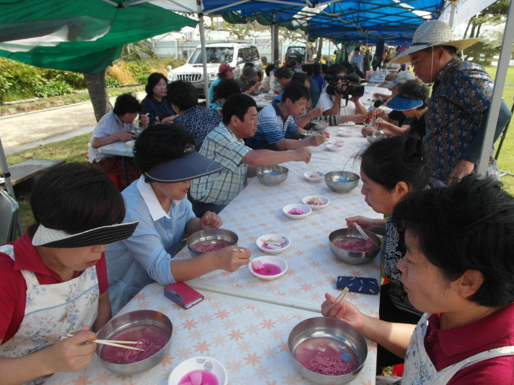 백년초 체험 페스티발