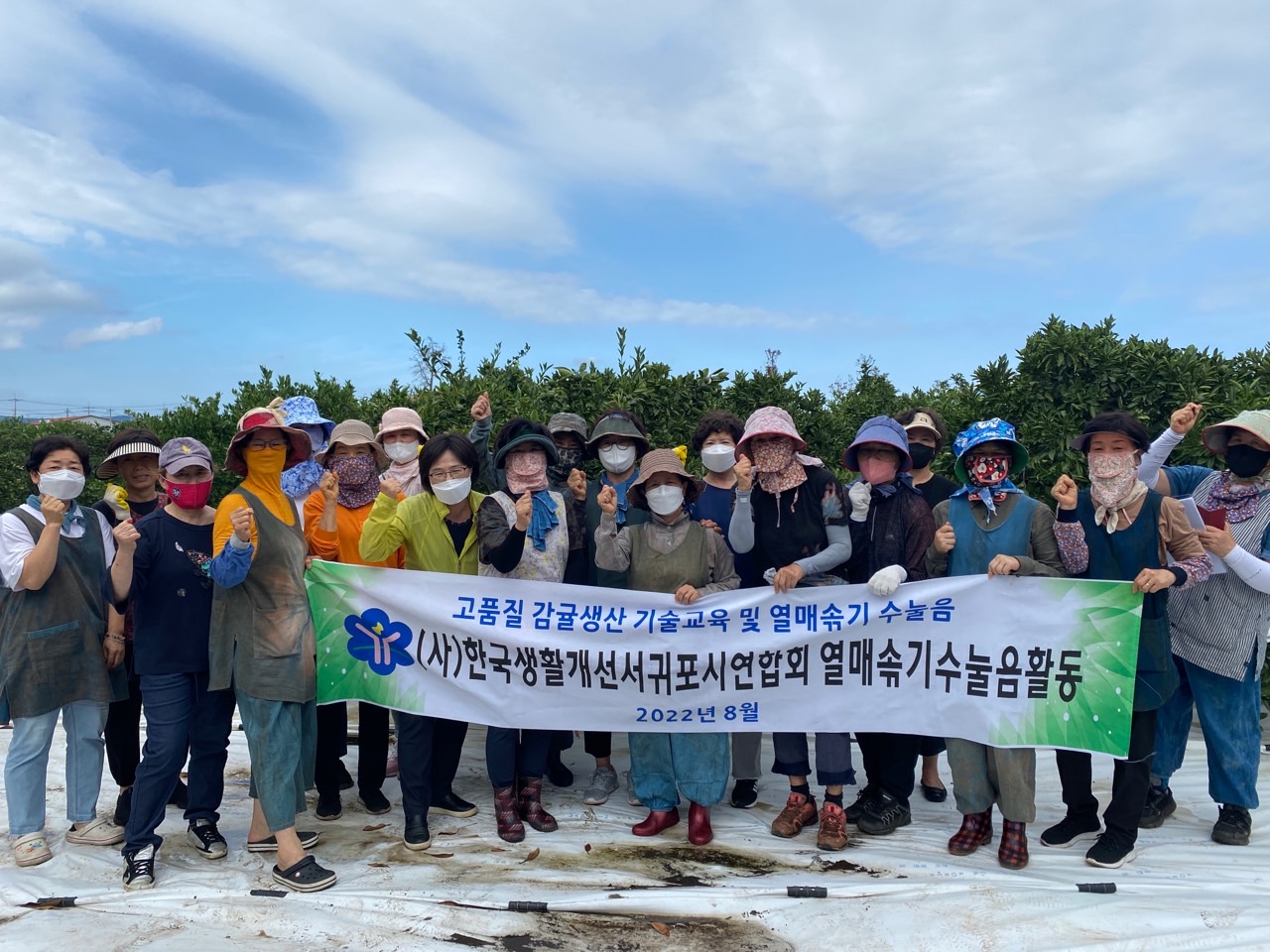 고품질감귤 안정생산을 위한 생활개선회원 열매솎기 수눌음 지도
