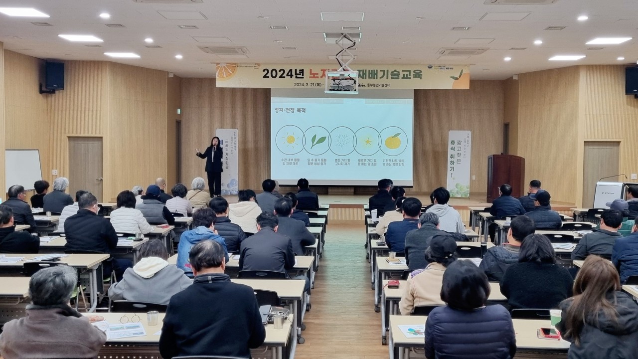 2024년 노지감귤 재배기술 교육(1회차)