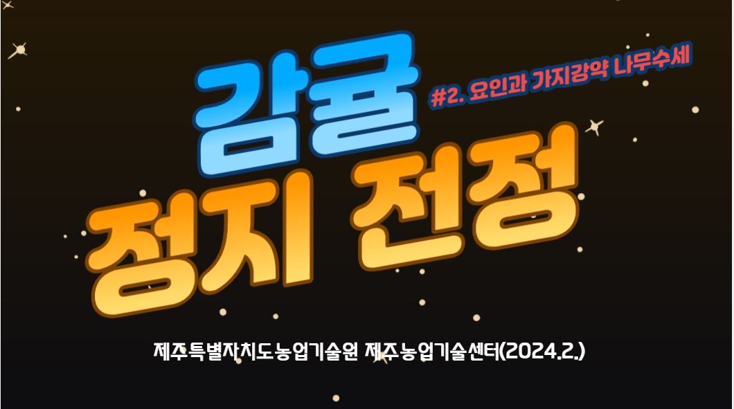 감귤 정지 전정 