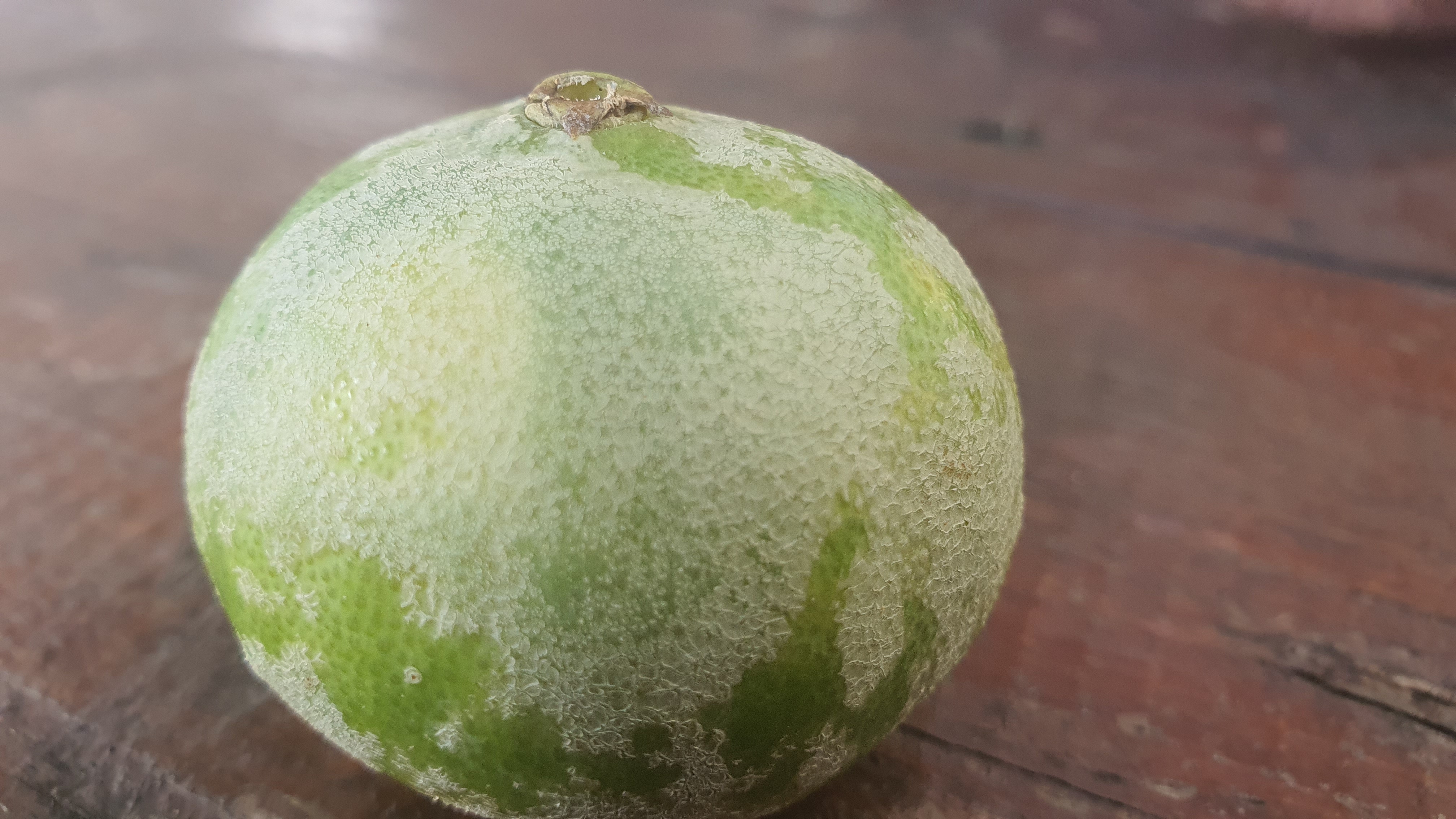 천혜향에 묻은게 뭔가요?