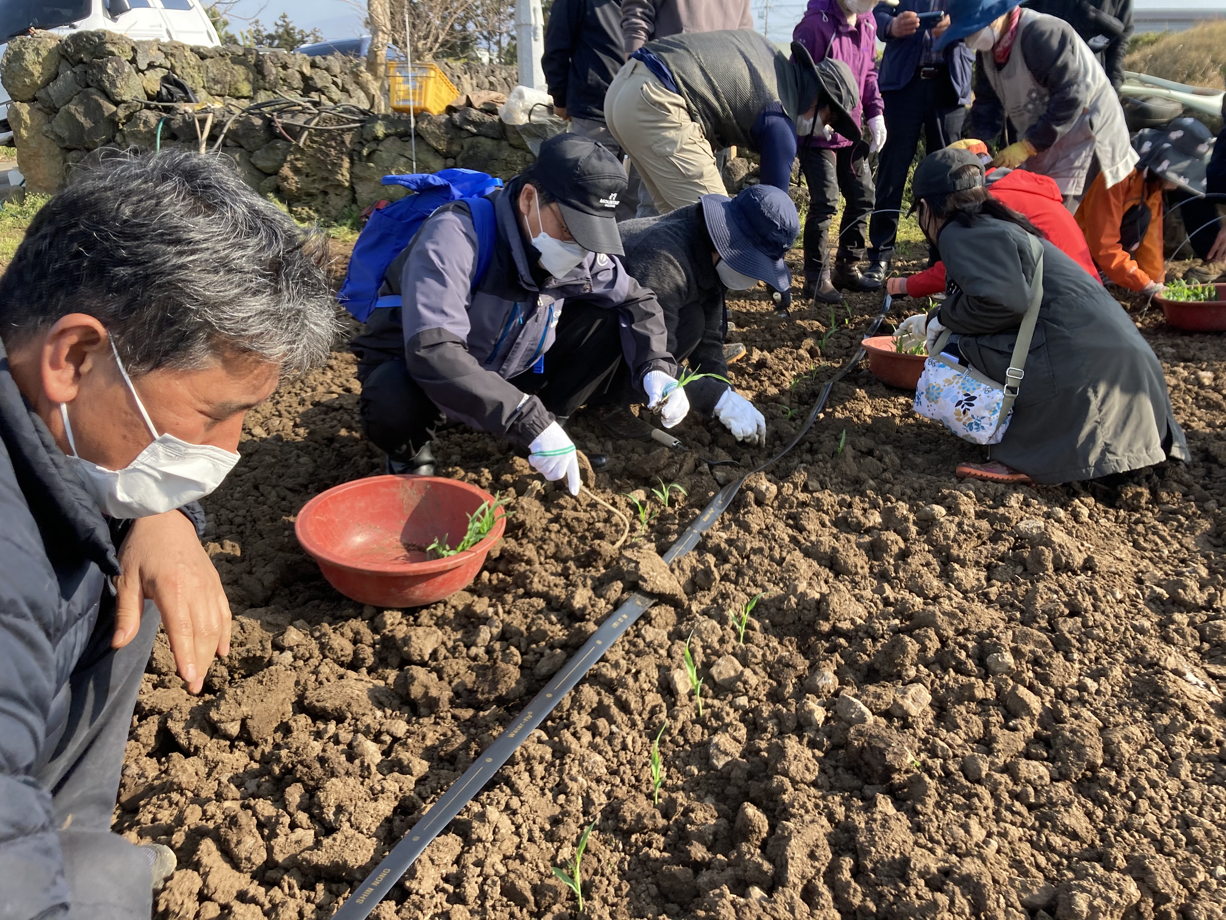  2021년 신규농업인 영농기초교육