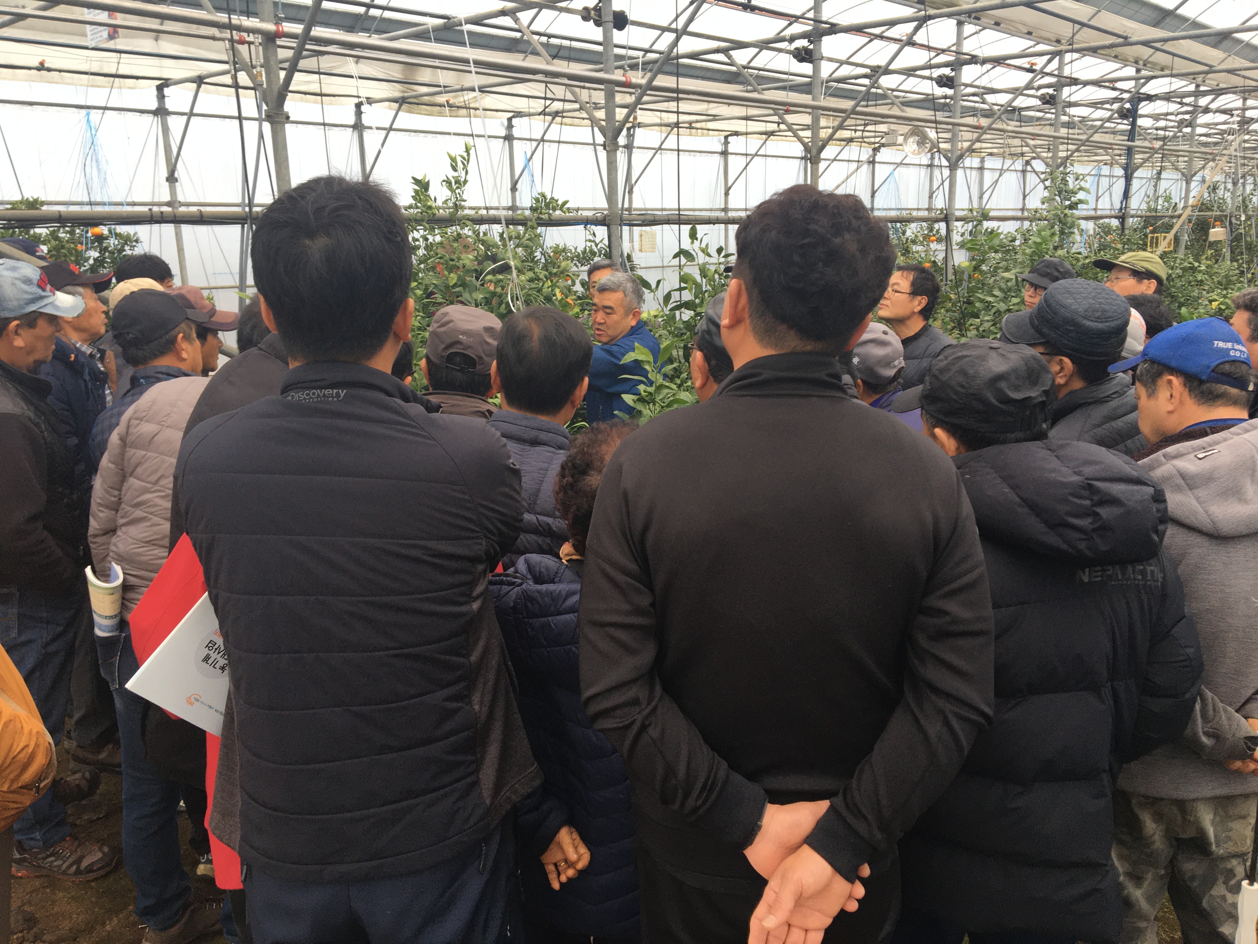 2024년 감귤류 정지·전정교육