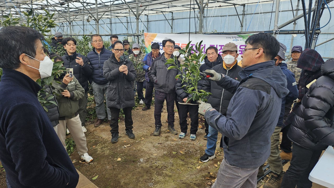 감귤류 정지전정교육(2.19 서부센터)