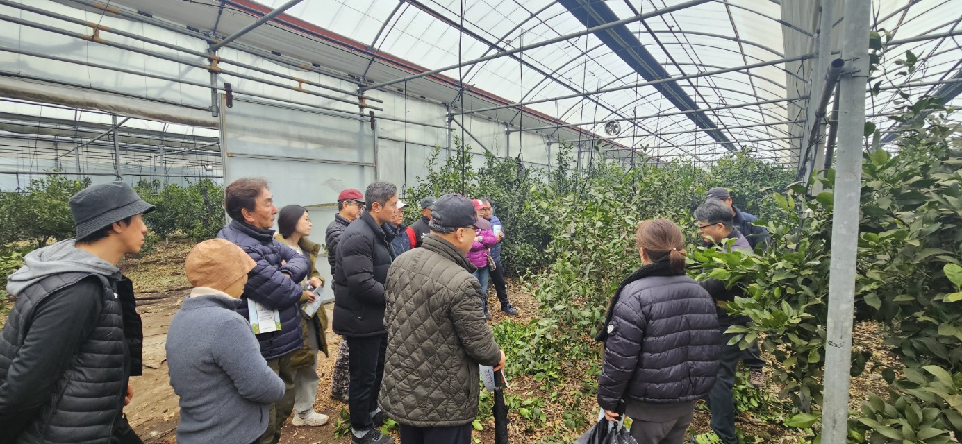 2026년 감귤류 정지.전정 기술교육 추진-7회차