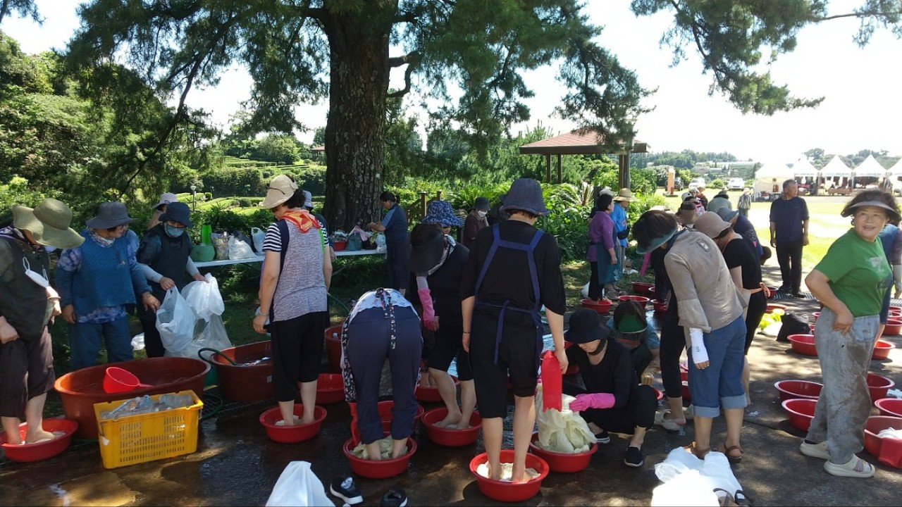 2023년 천연염색 FESTIVAL!