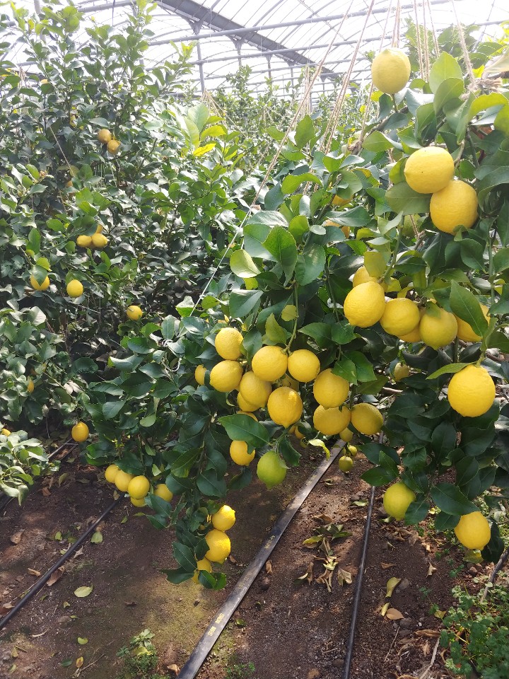 가공 관련 문의