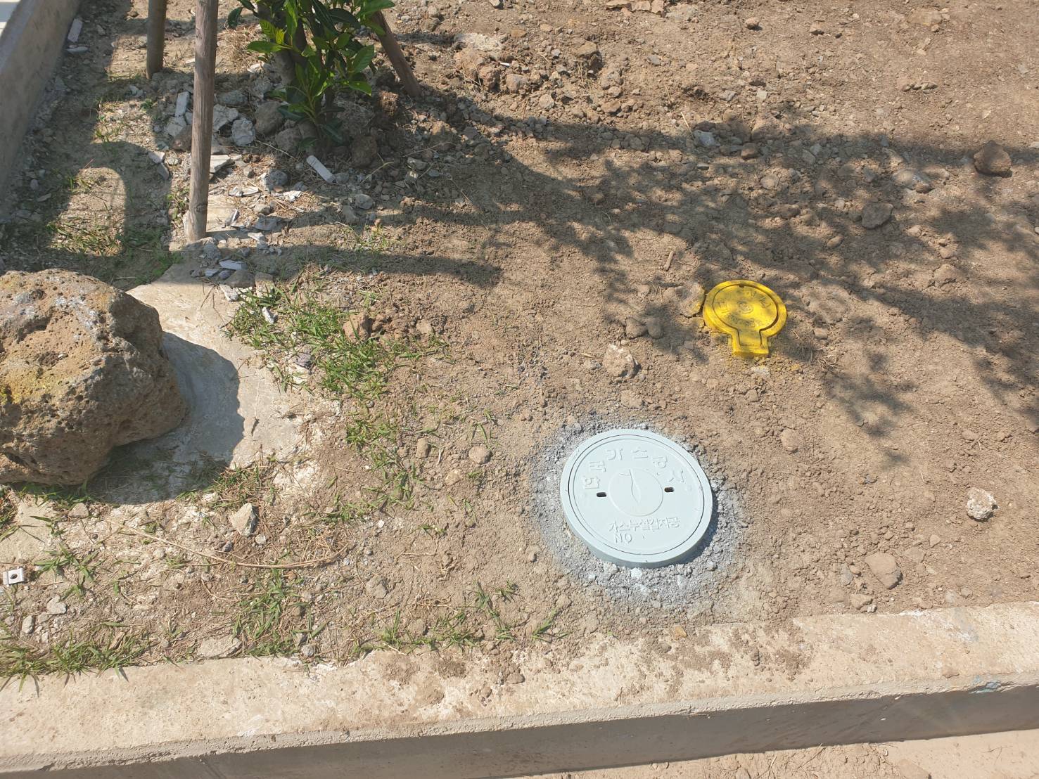 하우스한라봉묘목 질문입니다.