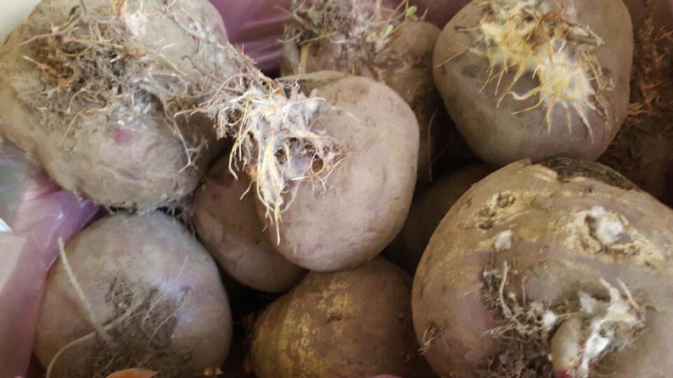 비트에 생긴 이것 무엇인가요?