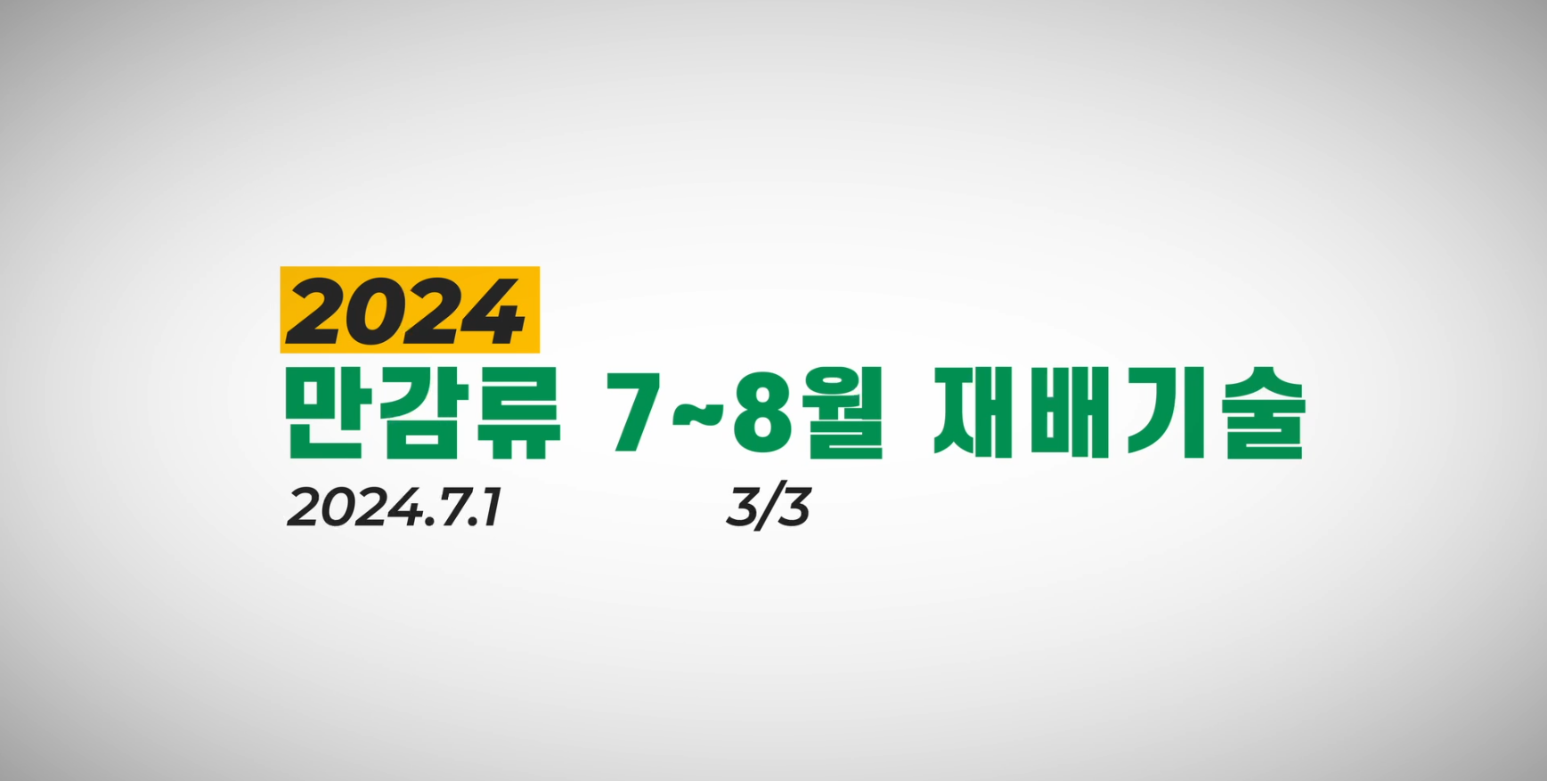 2024_만감류_0701_3