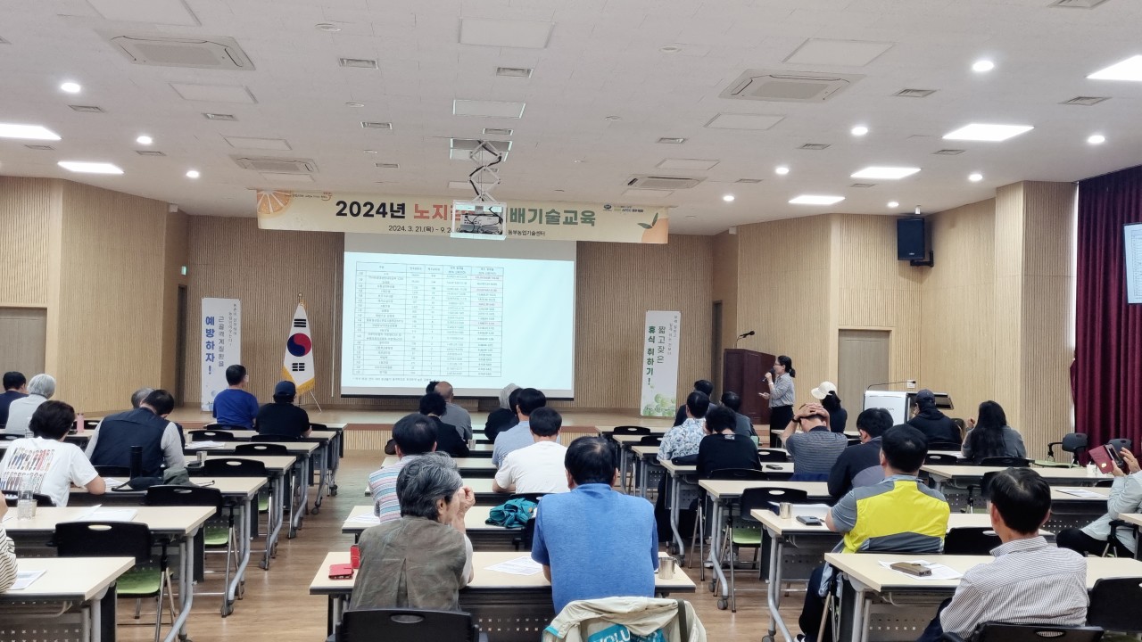 2024년 노지감귤 재배기술 교육(2회차)