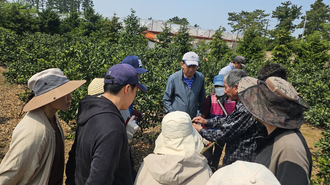 2025년 신규농업인 기초영농기술교육(실습과정-감귤류 A반 1차)
