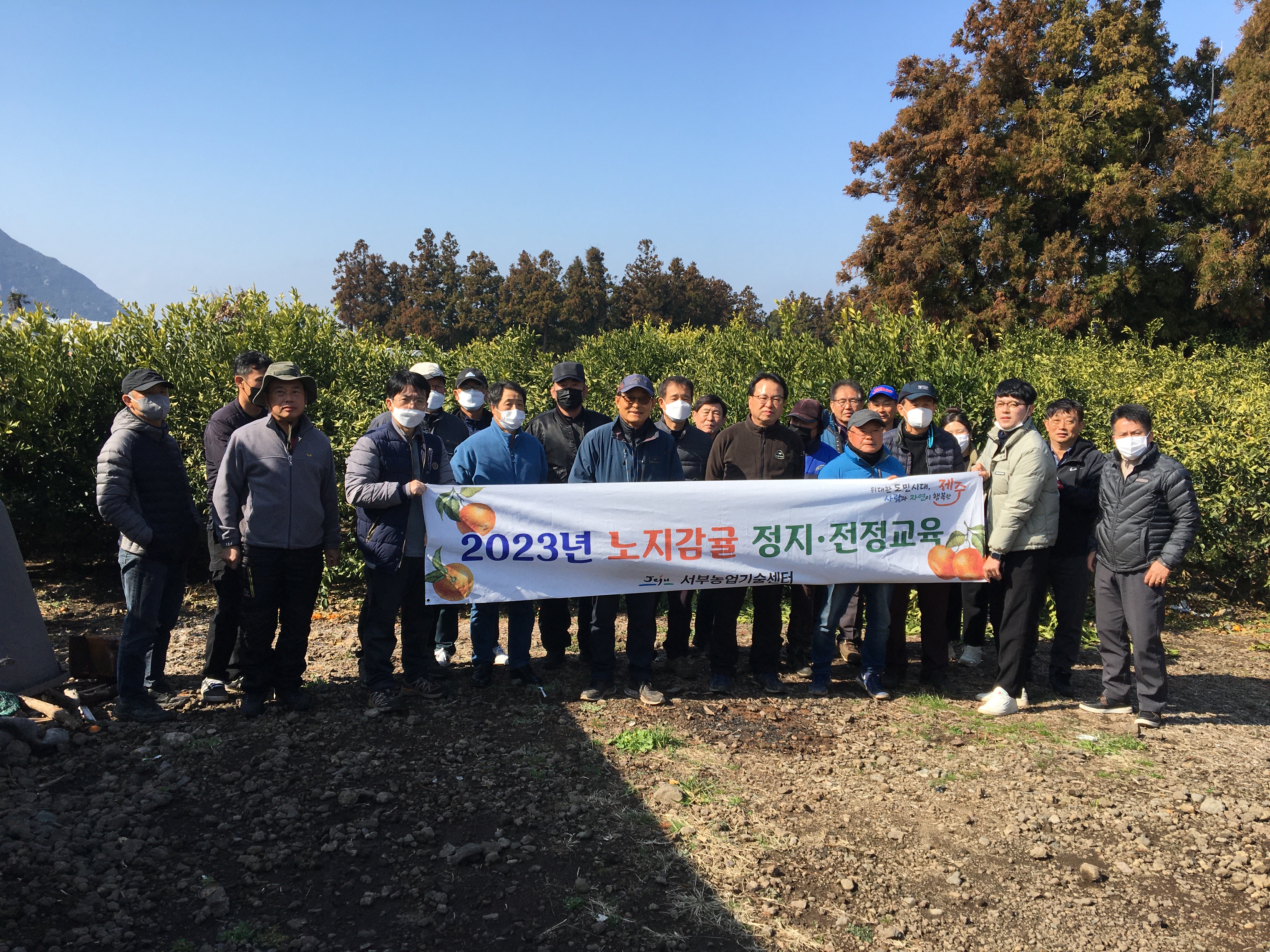 2023년 노지감귤 정지·전정교육