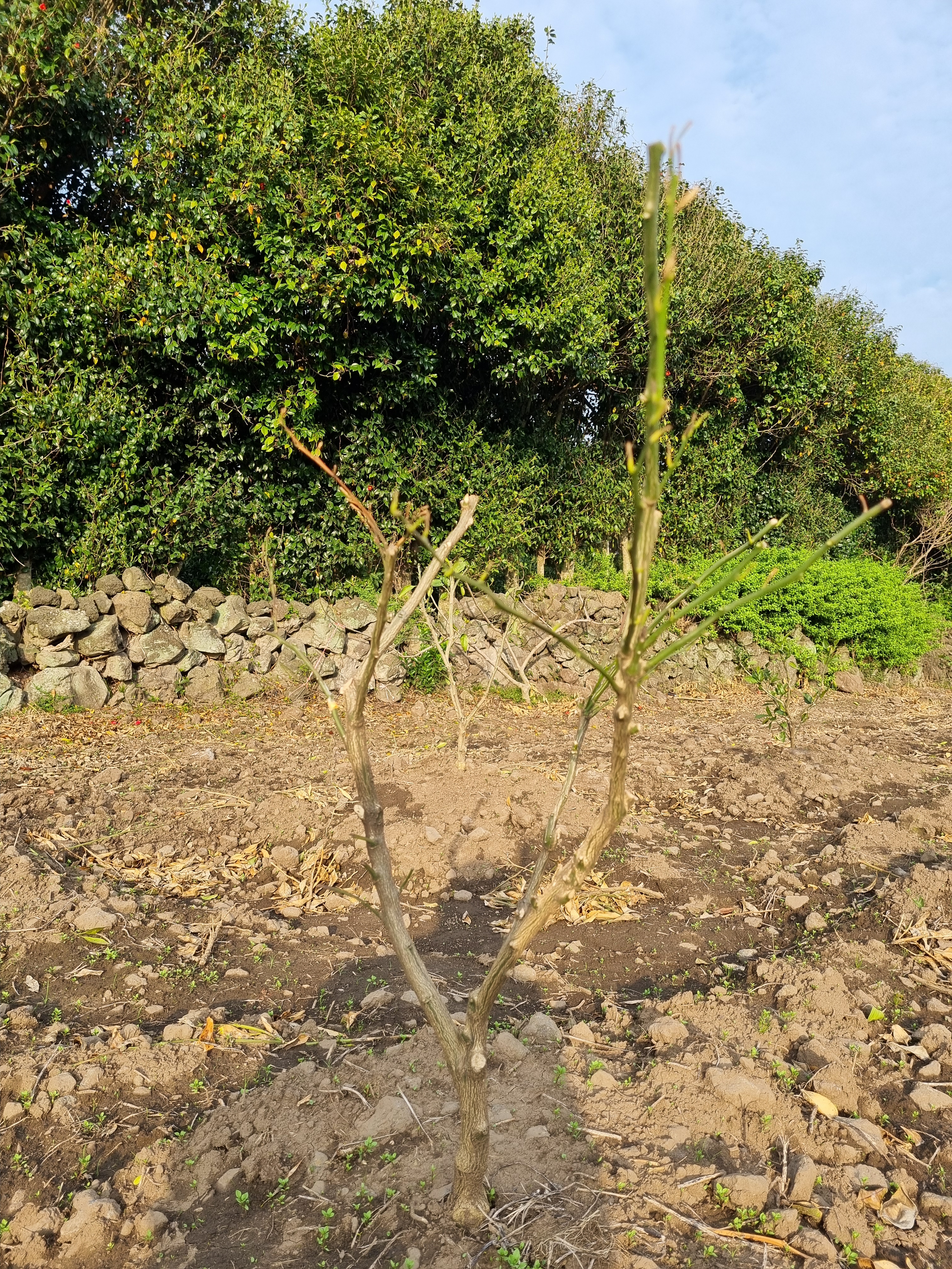 정식작업 후 발생되는 부분에서 문의드립니다.