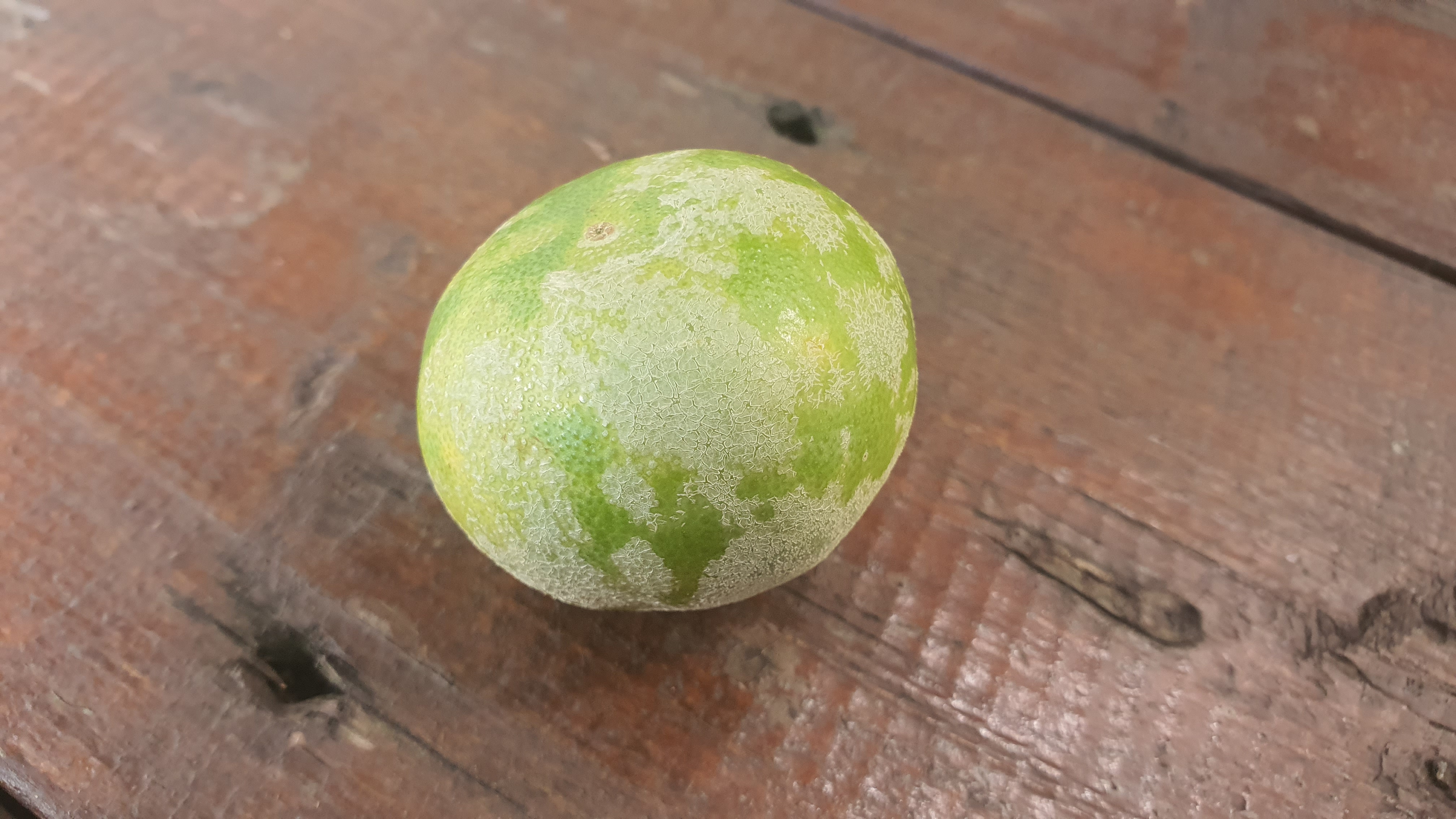 천혜향에 묻은게 뭔가요?