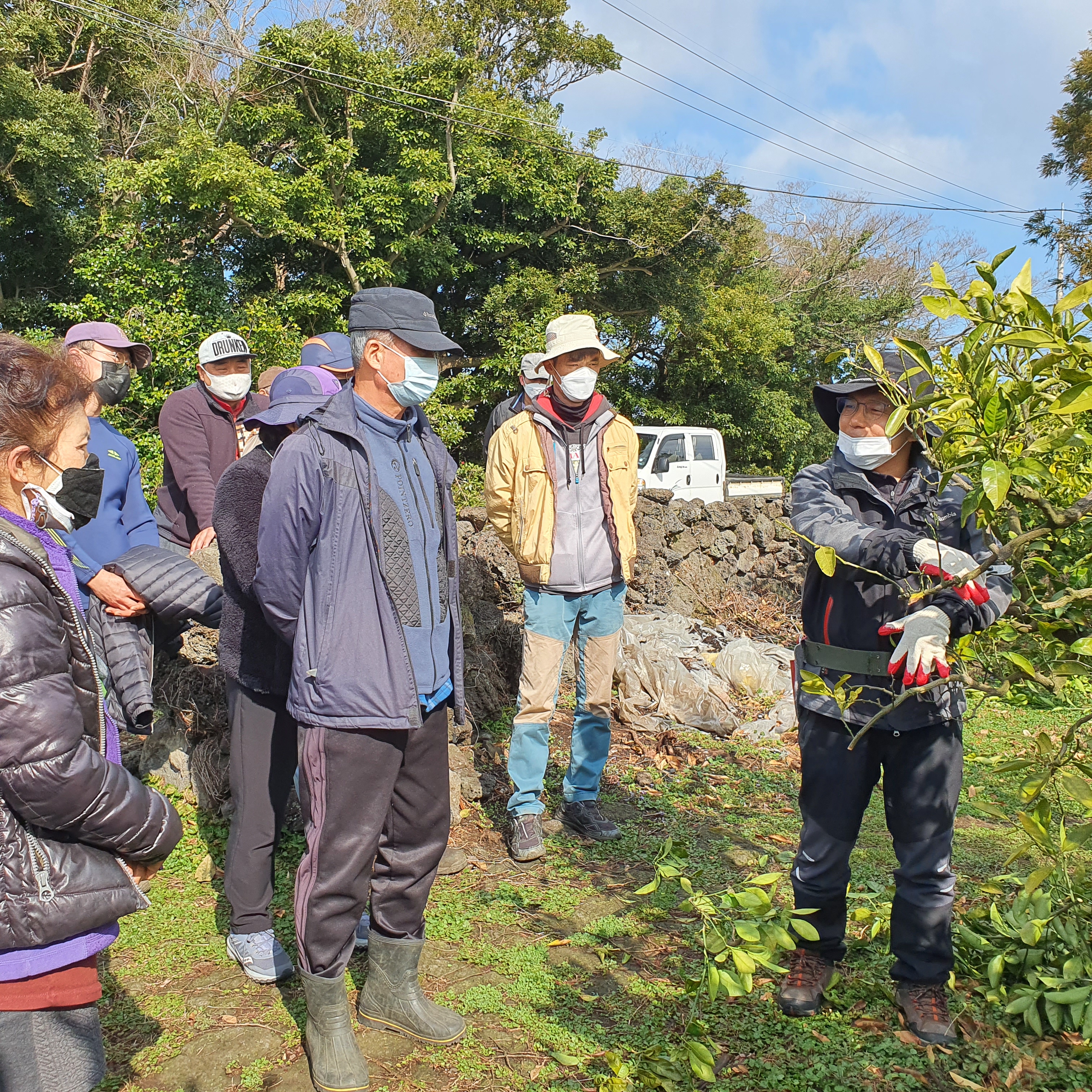 2021년 감귤 정지·전정 교육