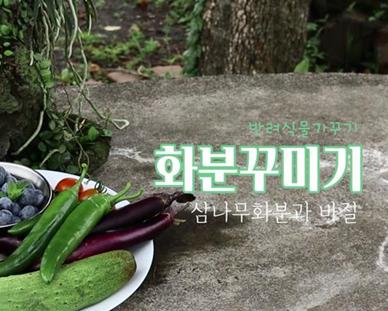 온라인 체험행사(나만의 화분꾸미기, 반려식물가꾸기)