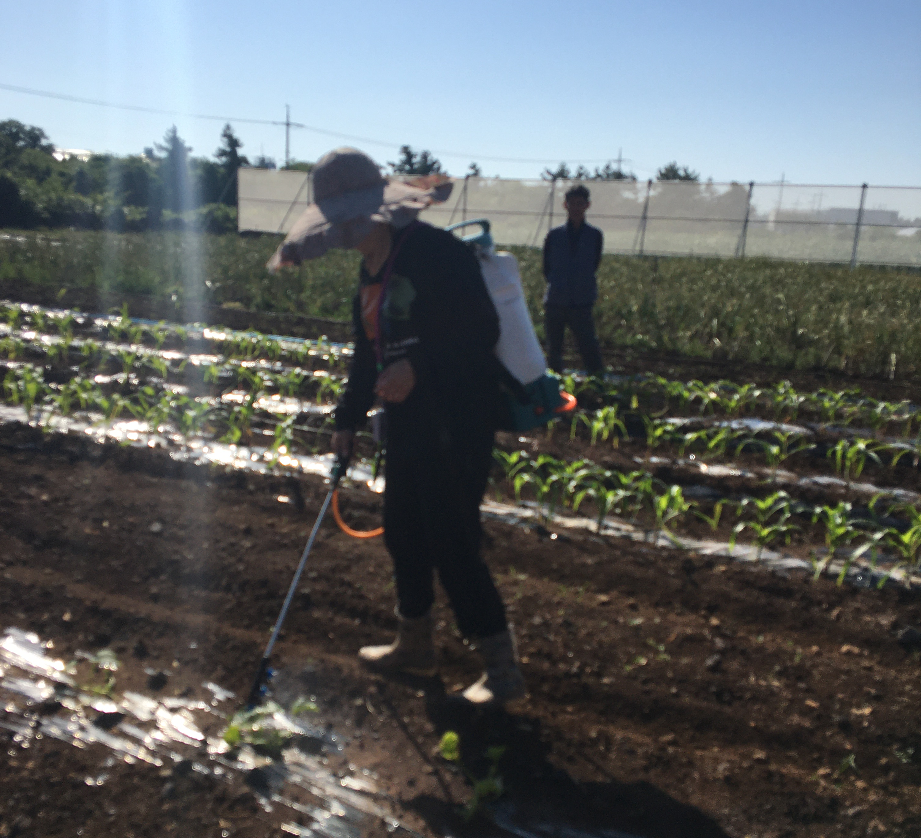 2024년 신규농업인 기초영농기술교육(원예과정)