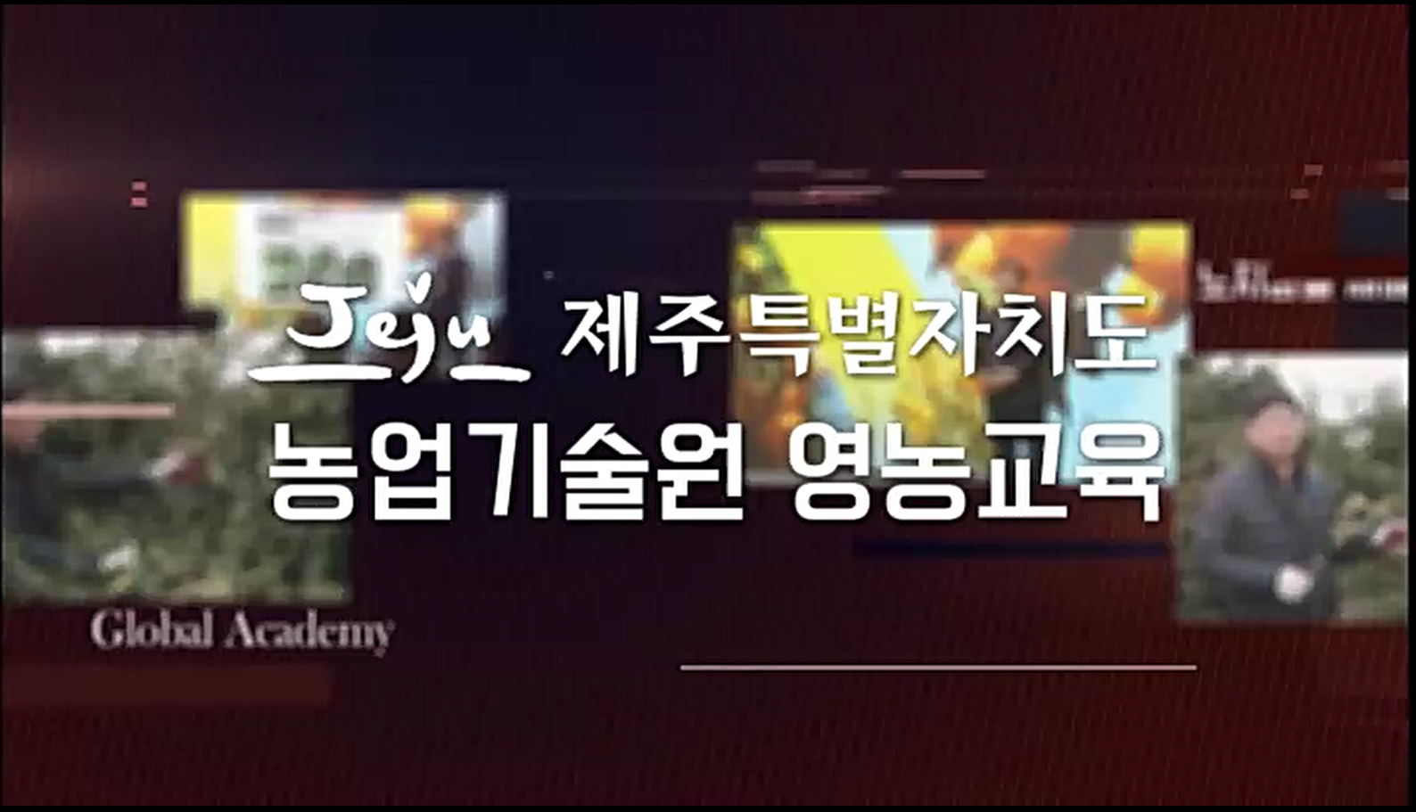 제주특별자치도 농업기술원 영농교육(6~7월 노지감귤 재배기술)