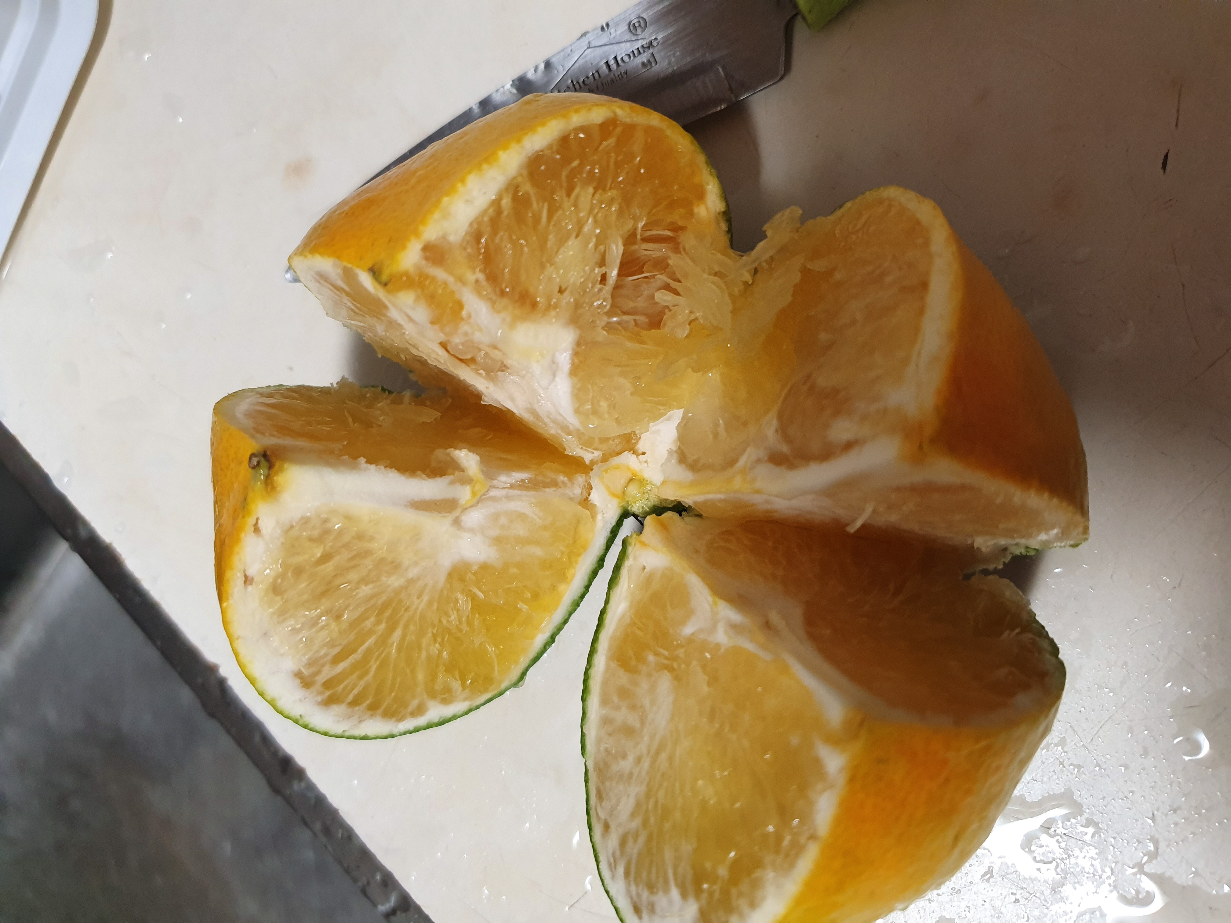 레드향 붕소결핍인가요?