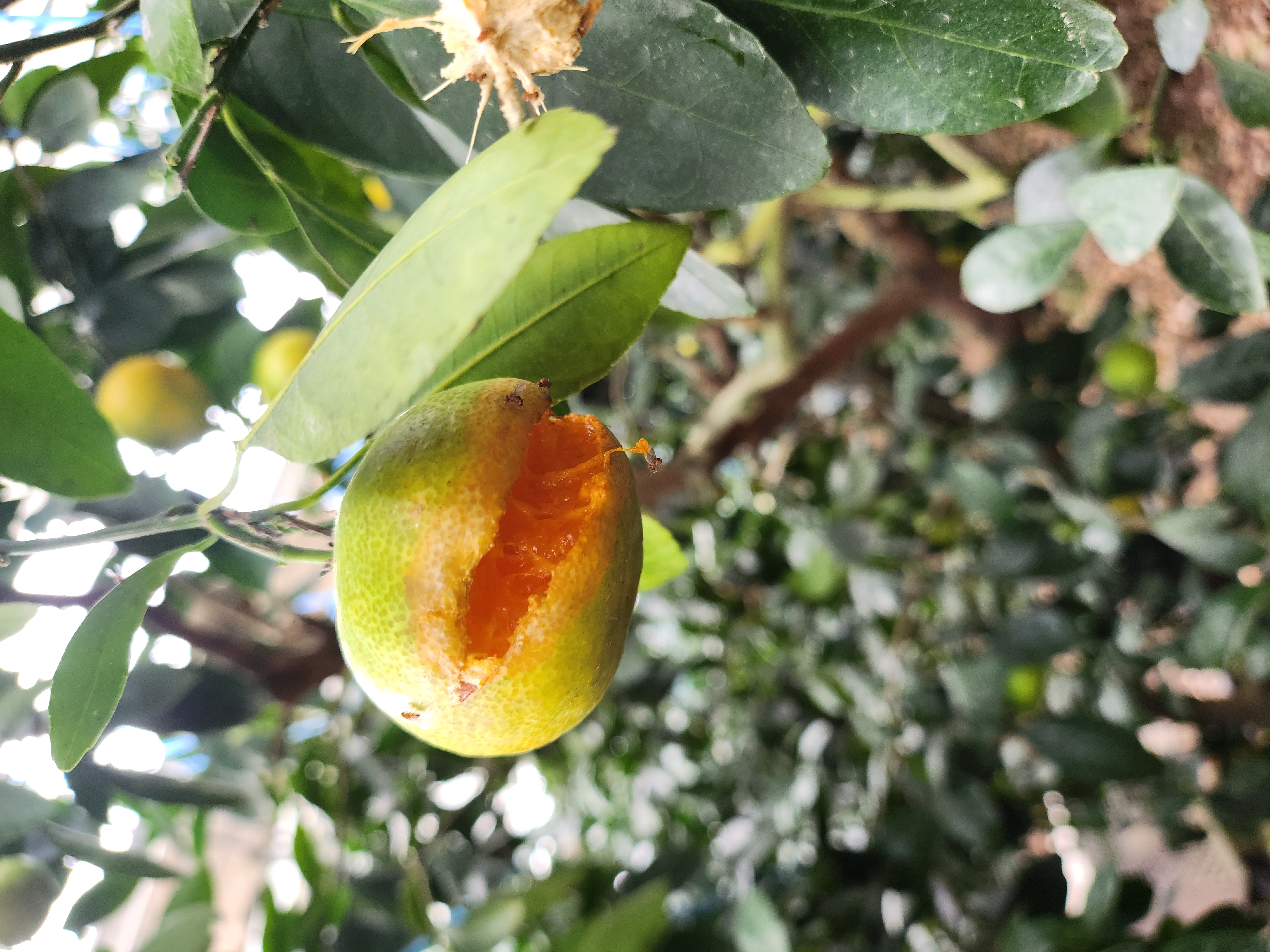 무슨 피해인지 궁금합니다