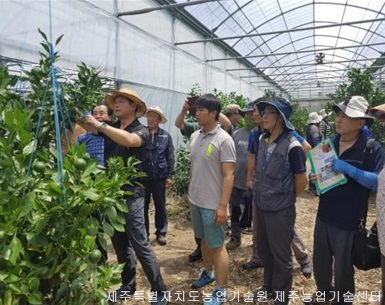 품목별농업인연구회(레드향연구회) 여름전정교육