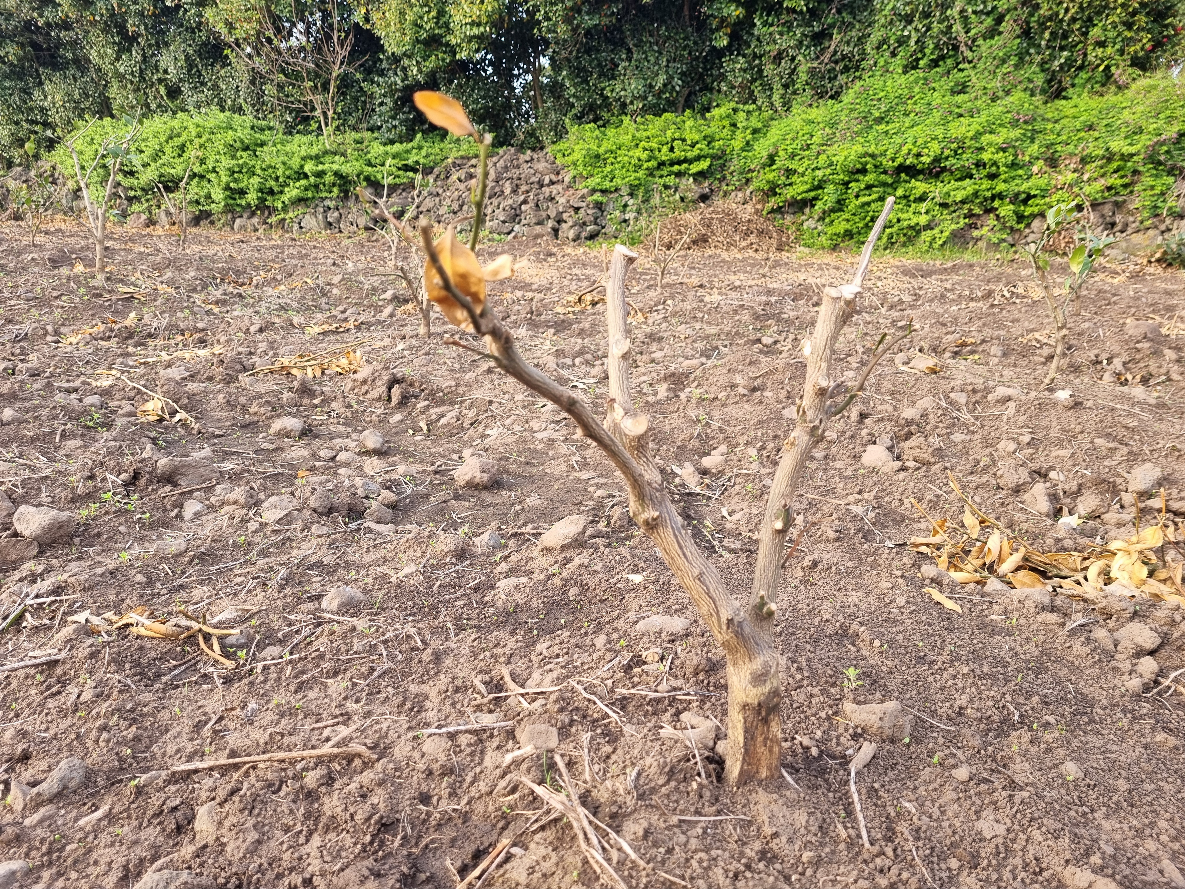 정식작업 후 발생되는 부분에서 문의드립니다.