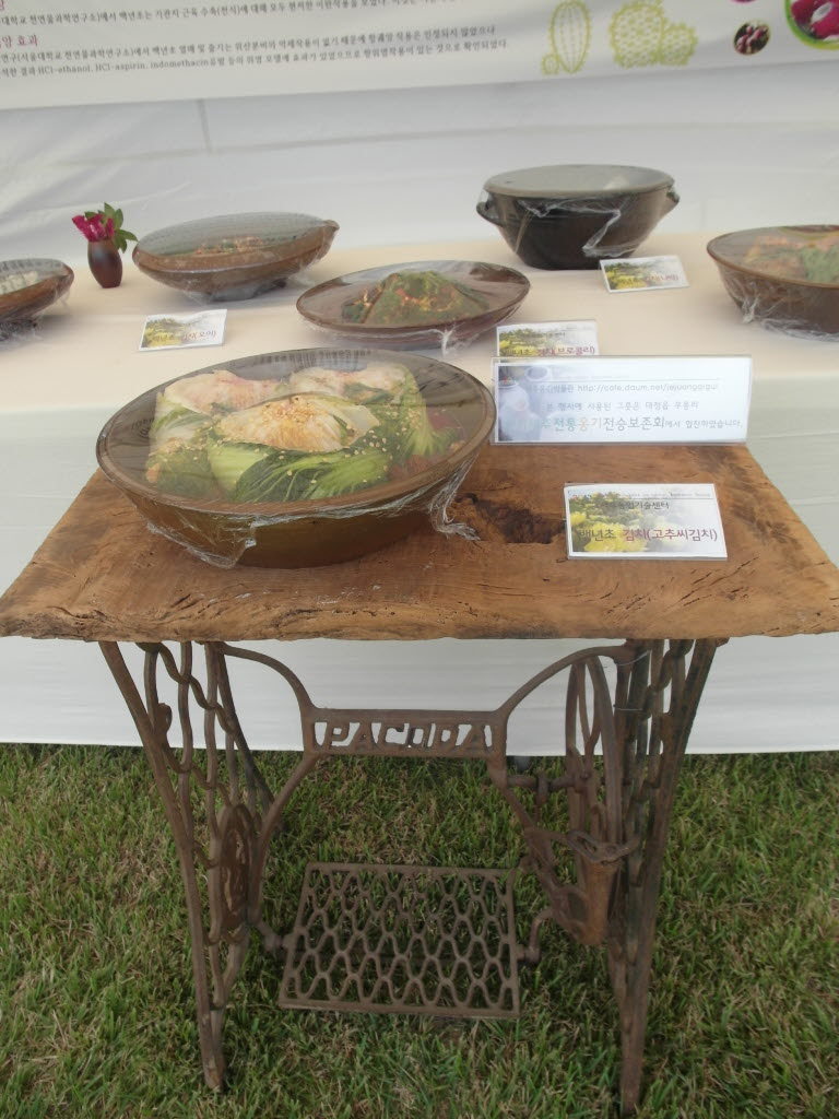 백년초 체험 페스티발